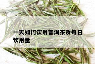 一天如何饮用普洱茶及每日饮用量