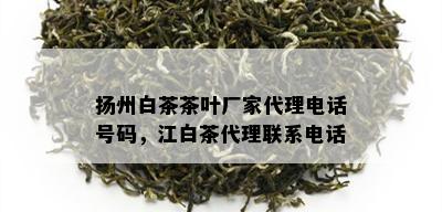 扬州白茶茶叶厂家代理电话号码，江白茶代理联系电话