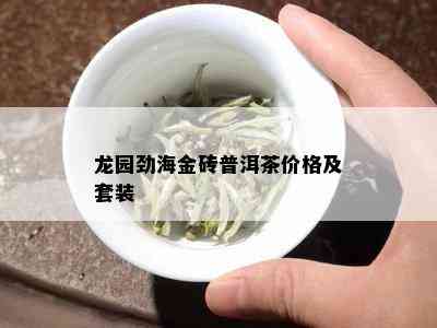 龙园劲海金砖普洱茶价格及套装