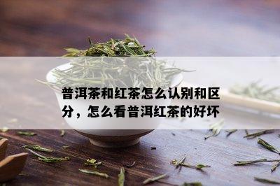 普洱茶和红茶怎么认别和区分，怎么看普洱红茶的好坏