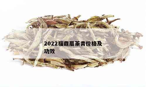 2022福鼎眉茶青价格及功效