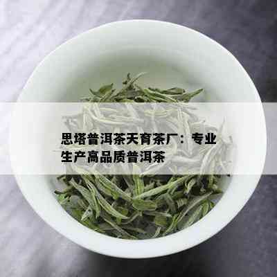 思塔普洱茶天育茶厂：专业生产高品质普洱茶