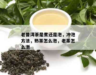 老普洱茶是煮还是泡，冲泡方法，熟茶怎么泡，老茶怎么泡