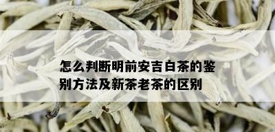 怎么判断明前安吉白茶的鉴别方法及新茶老茶的区别