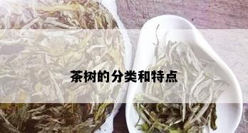 茶树的分类和特点