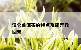 湿仓普洱茶的特点及能否救回来