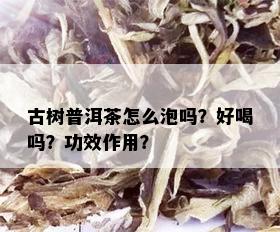 古树普洱茶怎么泡吗？好喝吗？功效作用？