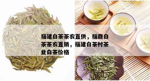 福建白茶茶农直供，福鼎白茶茶农直销，福建白茶村茶业白茶价格