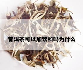 普洱茶可以加饮料吗为什么