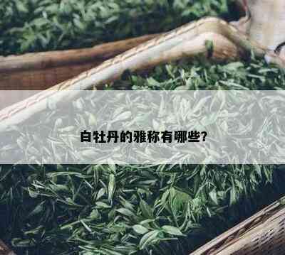 白牡丹的雅称有哪些？