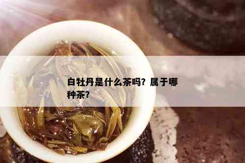 白牡丹是什么茶吗？属于哪种茶？