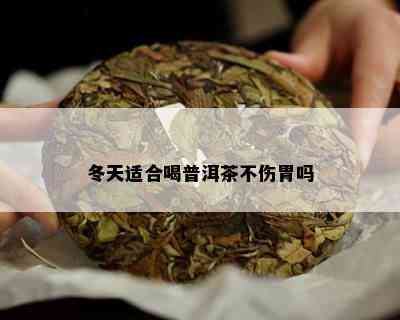 冬天适合喝普洱茶不伤胃吗