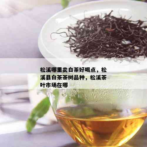 松溪哪里卖白茶好喝点，松溪县白茶茶树品种，松溪茶叶市场在哪