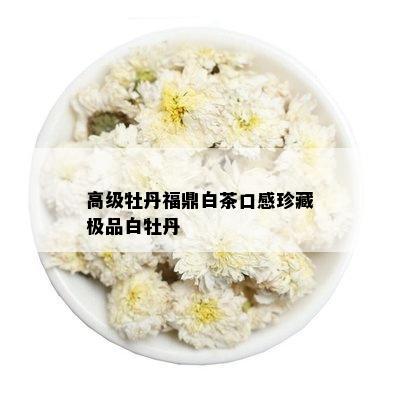 高级牡丹福鼎白茶口感珍藏极品白牡丹