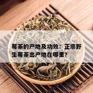 莓茶的产地及功效：正宗野生莓茶出产地在哪里？