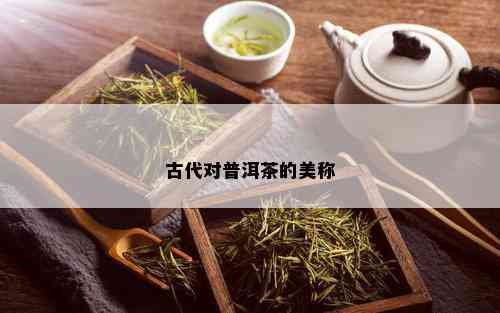 古代对普洱茶的美称