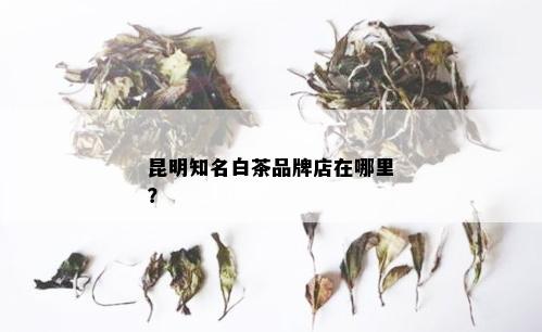 昆明知名白茶品牌店在哪里？