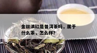 金丝滇红是普洱茶吗，属于什么茶，怎么样？