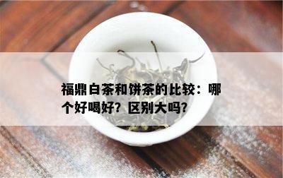 福鼎白茶和饼茶的比较：哪个好喝好？区别大吗？