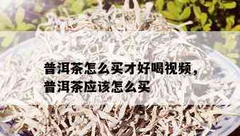 普洱茶怎么买才好喝视频，普洱茶应该怎么买