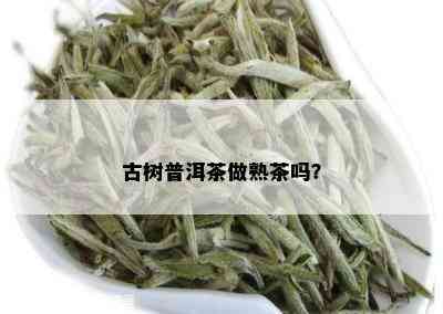 古树普洱茶做熟茶吗？