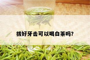 拔好牙齿可以喝白茶吗？