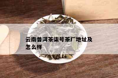 云南普洱茶柒号茶厂地址及怎么样