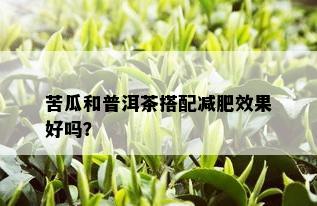 苦瓜和普洱茶搭配减肥效果好吗？