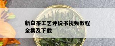 新白茶工艺评说书视频教程全集及下载