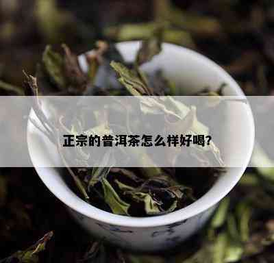 正宗的普洱茶怎么样好喝？