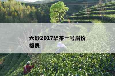 六妙2017华茶一号眉价格表