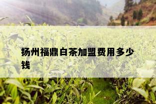 扬州福鼎白茶加盟费用多少钱