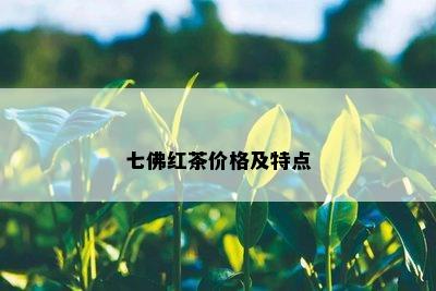 七佛红茶价格及特点