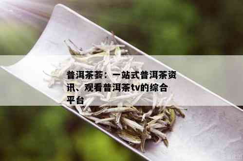 普洱茶荟：一站式普洱茶资讯、观看普洱茶tv的综合平台