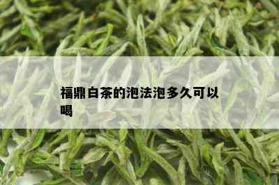 福鼎白茶的泡法泡多久可以喝