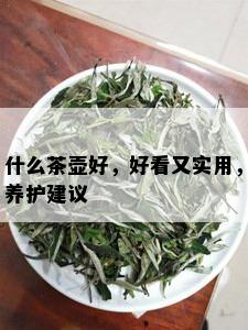 什么茶壶好，好看又实用，养护建议