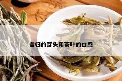 昔归的芽头和茶叶的口感