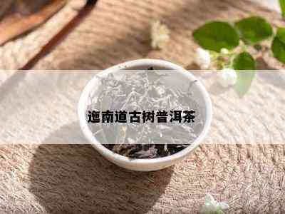 迤南道古树普洱茶