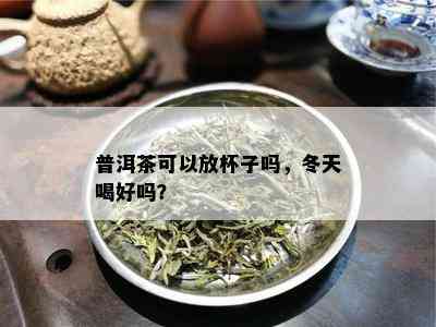 普洱茶可以放杯子吗，冬天喝好吗？