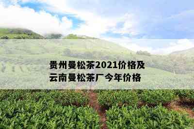 贵州曼松茶2021价格及云南曼松茶厂今年价格