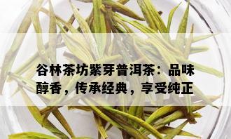 谷林茶坊紫芽普洱茶：品味醇香，传承经典，享受纯正