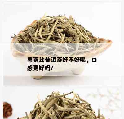 黑茶比普洱茶好不好喝，口感更好吗？