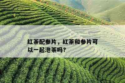 红茶配参片，红茶和参片可以一起泡茶吗?