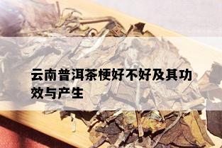 云南普洱茶梗好不好及其功效与产生