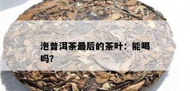 泡普洱茶最后的茶叶：能喝吗？