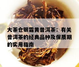 大茶仓银霜黄普洱茶：有关普洱茶的经典品种及保质期的实用指南