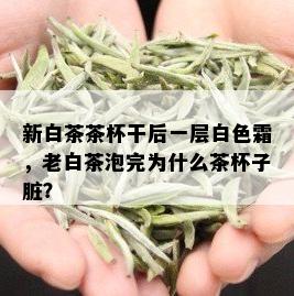 新白茶茶杯干后一层白色霜，老白茶泡完为什么茶杯子脏？