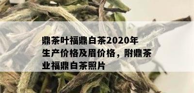 鼎茶叶福鼎白茶2020年生产价格及眉价格，附鼎茶业福鼎白茶照片