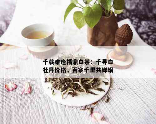 千载难逢福鼎白茶：千寻白牡丹价格，百寨千里共婵娟