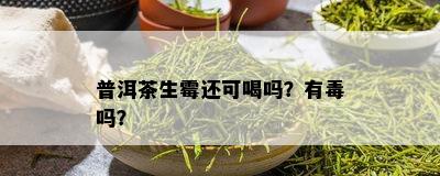 普洱茶生霉还可喝吗？有吗？